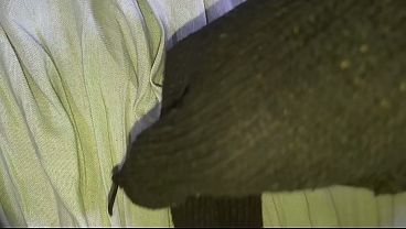 Insane Brutal Anal Pounding – Greedy Ass Begs for Creampie